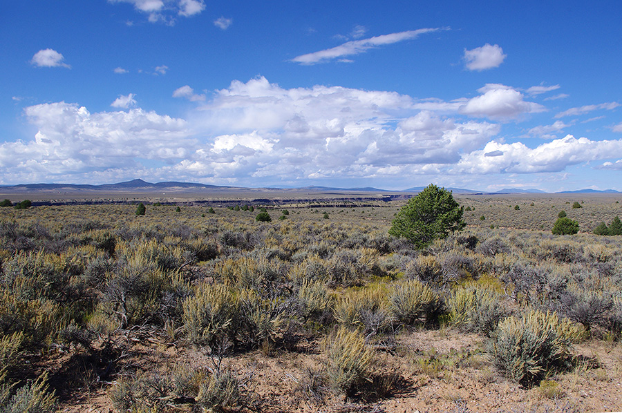 Taos Valley Overlook scene