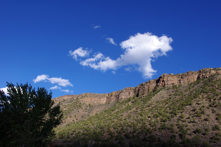 In the canyon of the Rio Grande