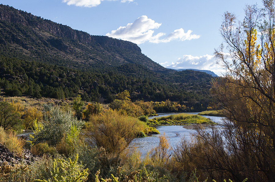 Rio Grande near Pilar