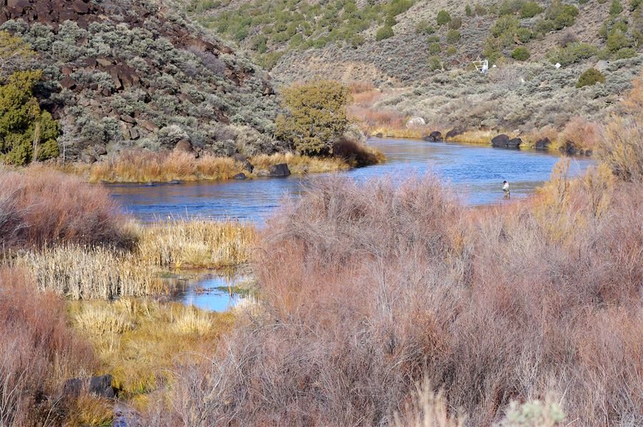 Rio Grande near Pilar, NM