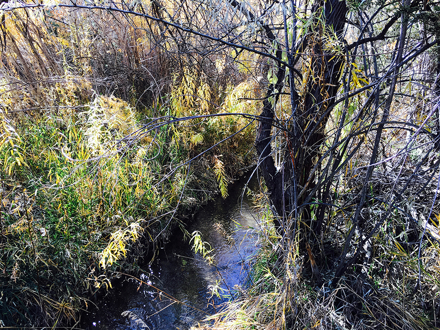 acequia