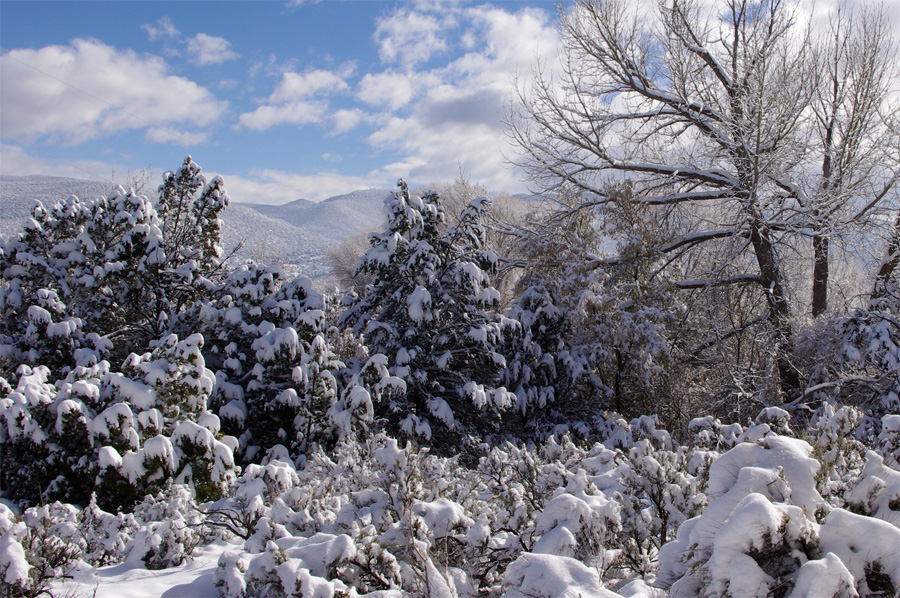 snowy Taos scene