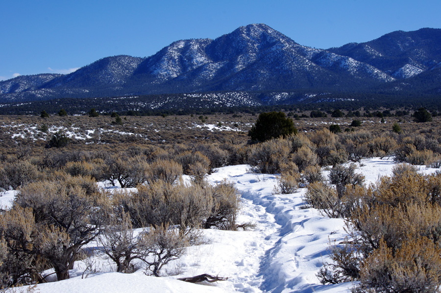 Hiking in the Snow post image