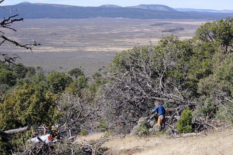 woodcutter on a mountain in northern Taos County