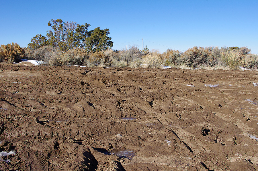 muddy Taos road