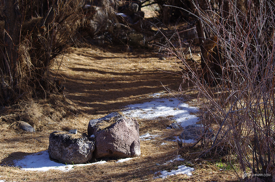 path along the Rio Grande