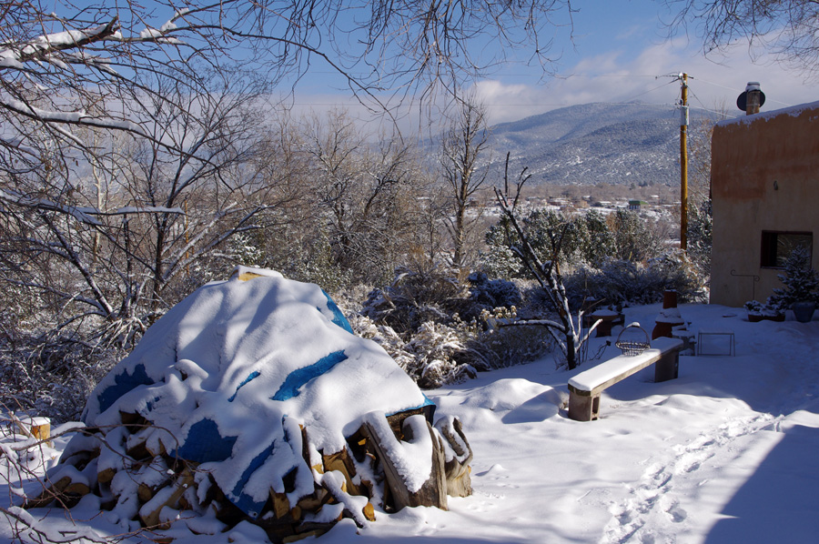 woodpile in the snow