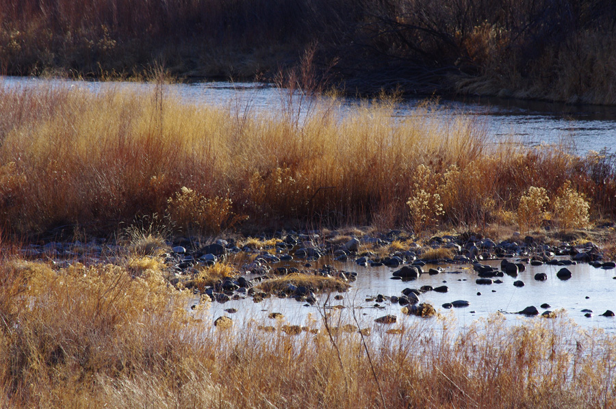 rocks by the Rio Grande near Pilar, NM