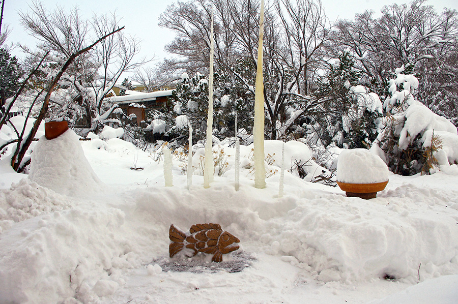 amazing snow scene from Taos, NM