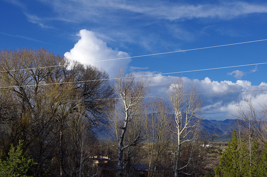 spring in Taos, NM