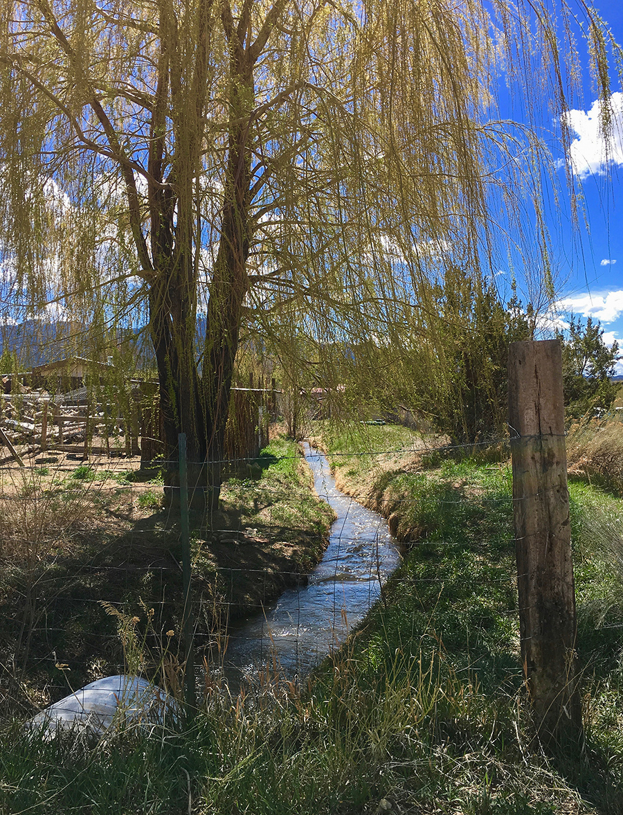 acequia in Taos, NM