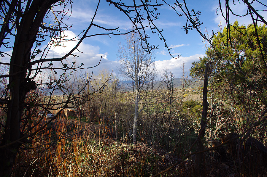 spring in Taos, NM