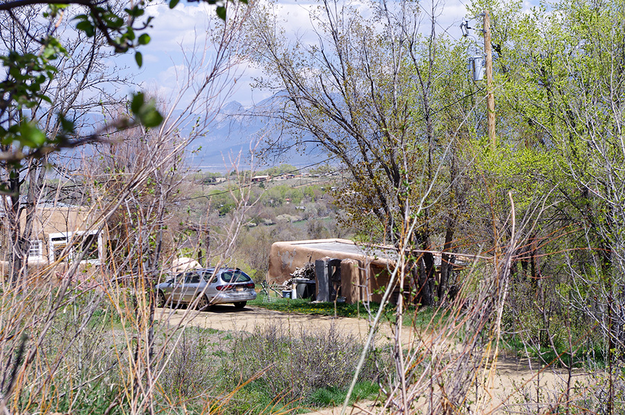 springtime in Llano Quemado