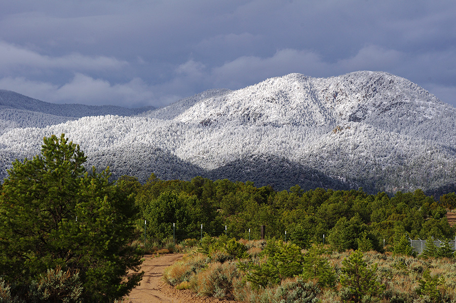 snow line photo south of Taos