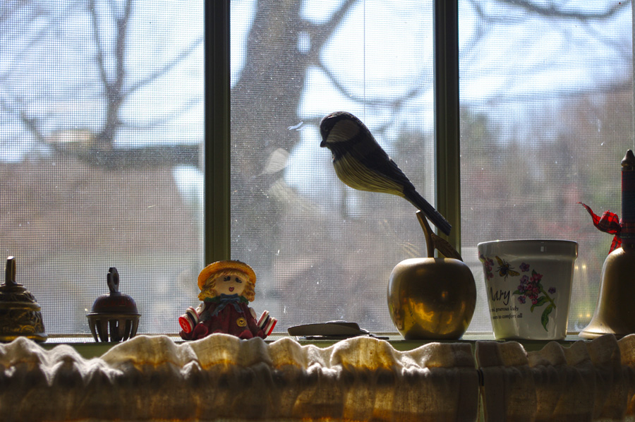 window in Maine