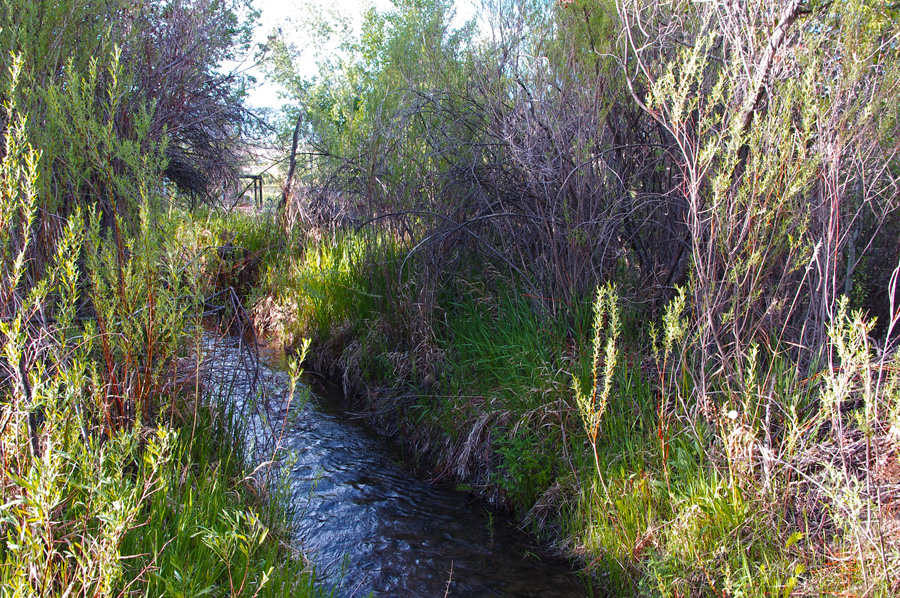 acequia in Taos, NM