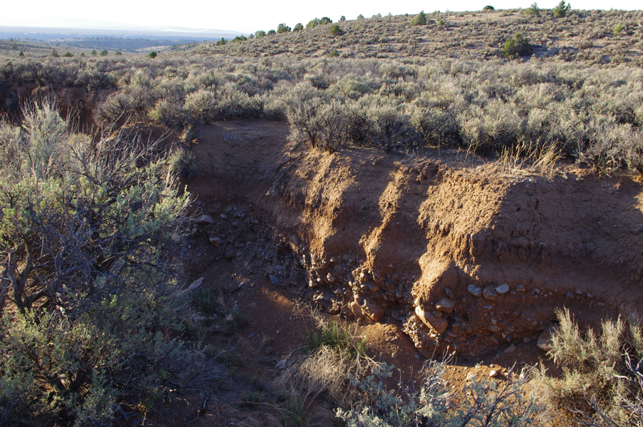 arroyo south of Taos