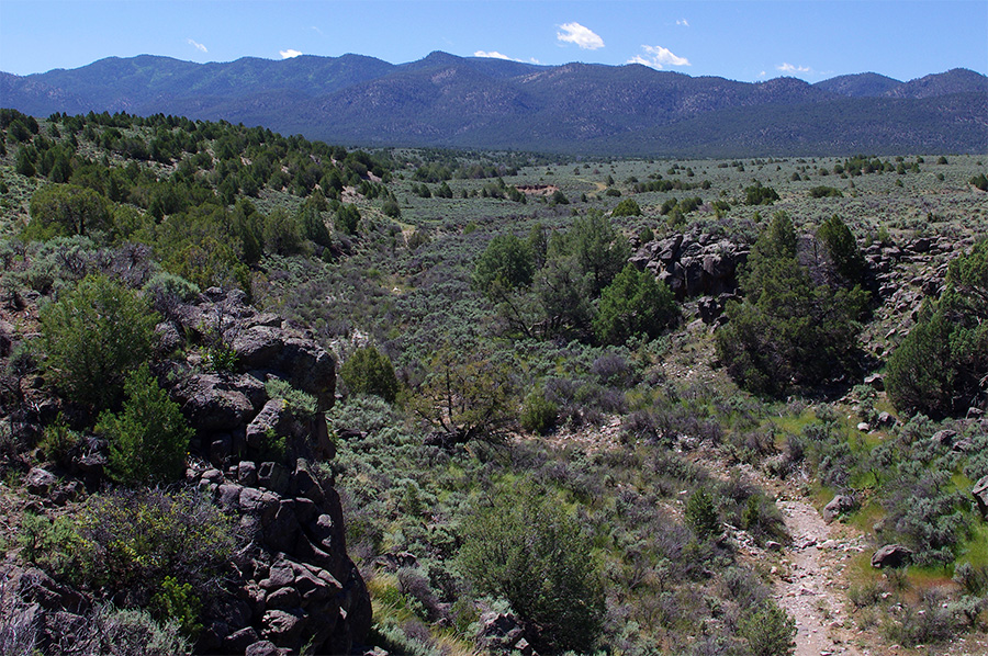 high desert south of Taos, NM