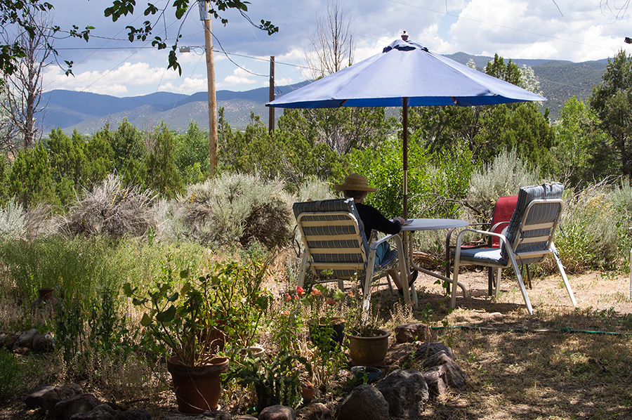 back yard in Taos, NM