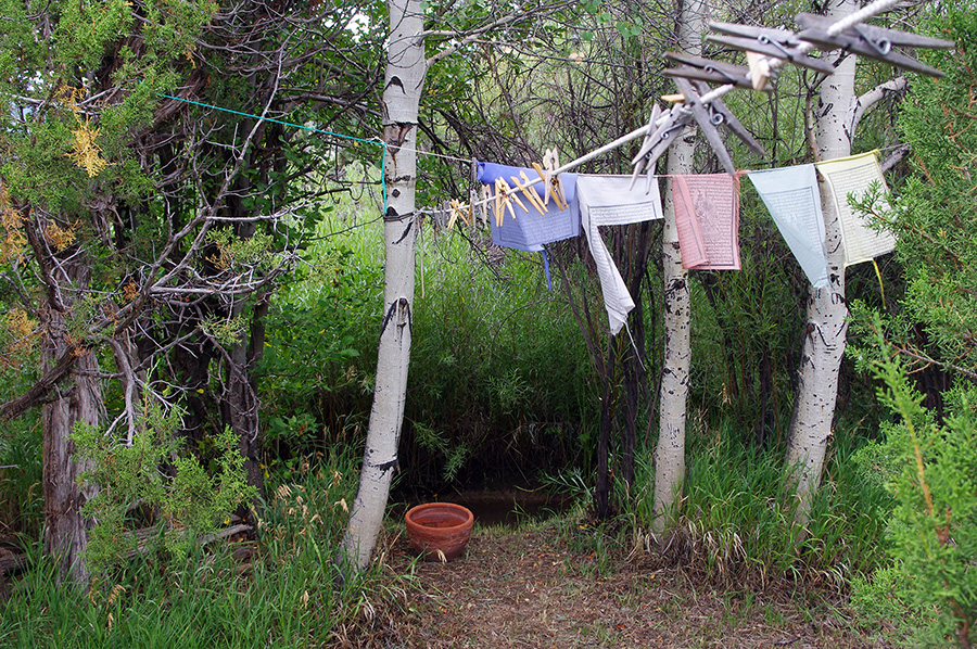 acequia in Taos, NM