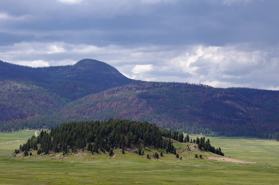 small portion of the Valles Caldera