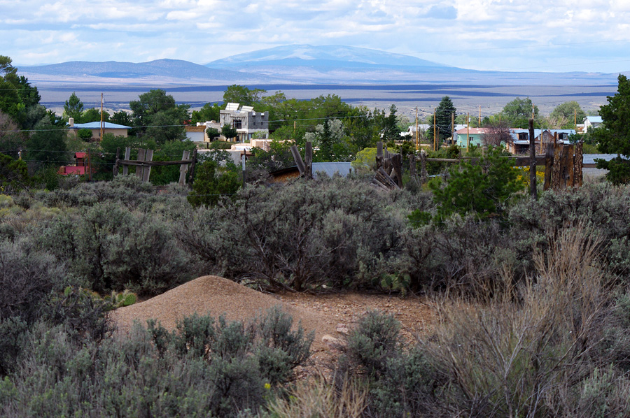 anthill in Llano Quemado