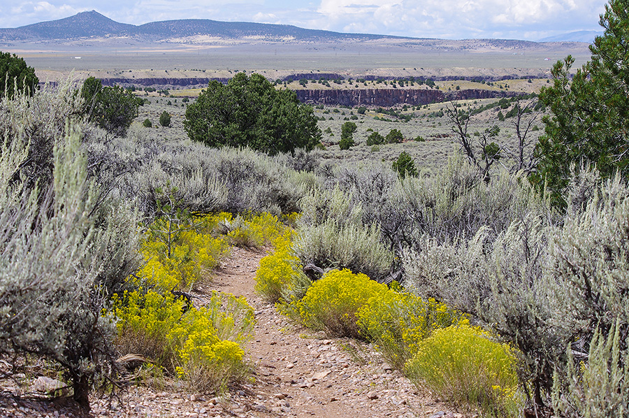 Taos Valley Overlook scene