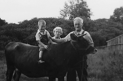 boy on a cow