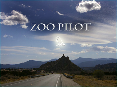 Zoo Pilot Design