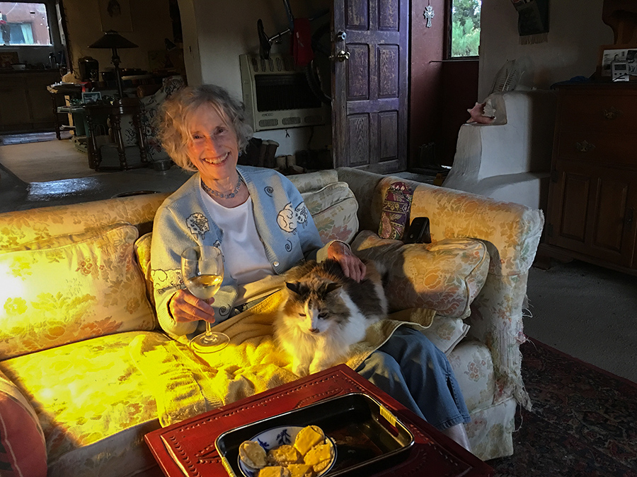 wife on sofa with cat