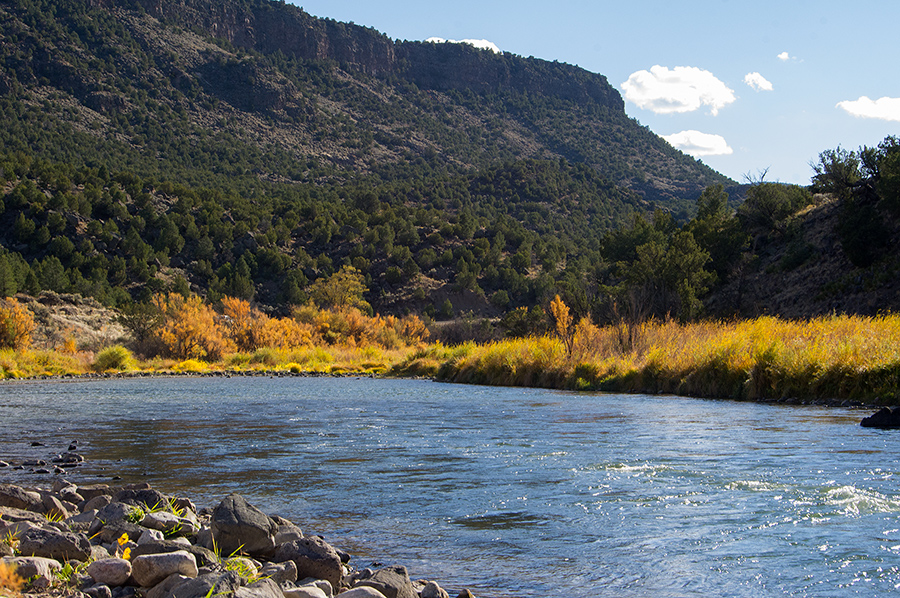 Rio Grande near Pilar, NM