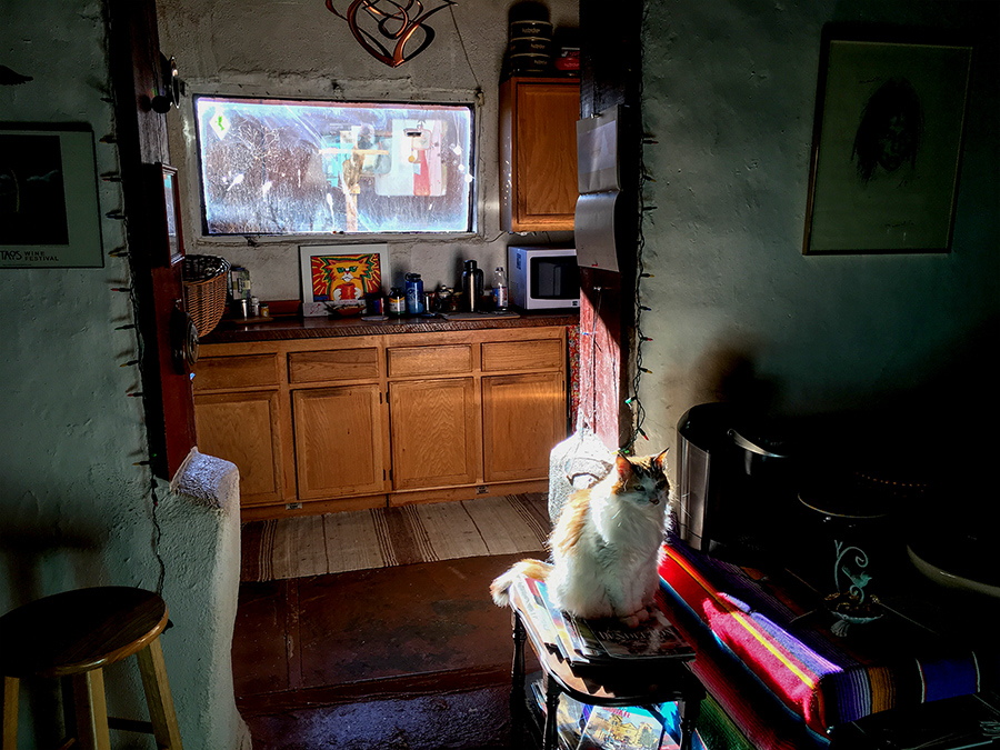 old adobe kitchen window with cat in Taos, NM