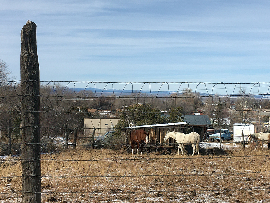 horses, fences, and mountains