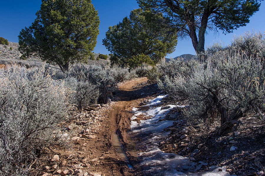 trail at Taos Valley Overlook