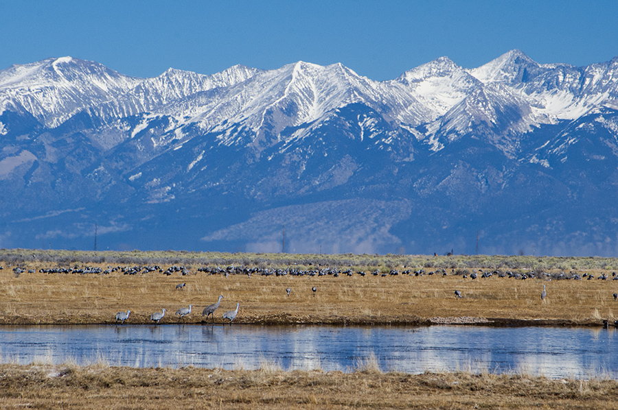 Monte Vista NWR