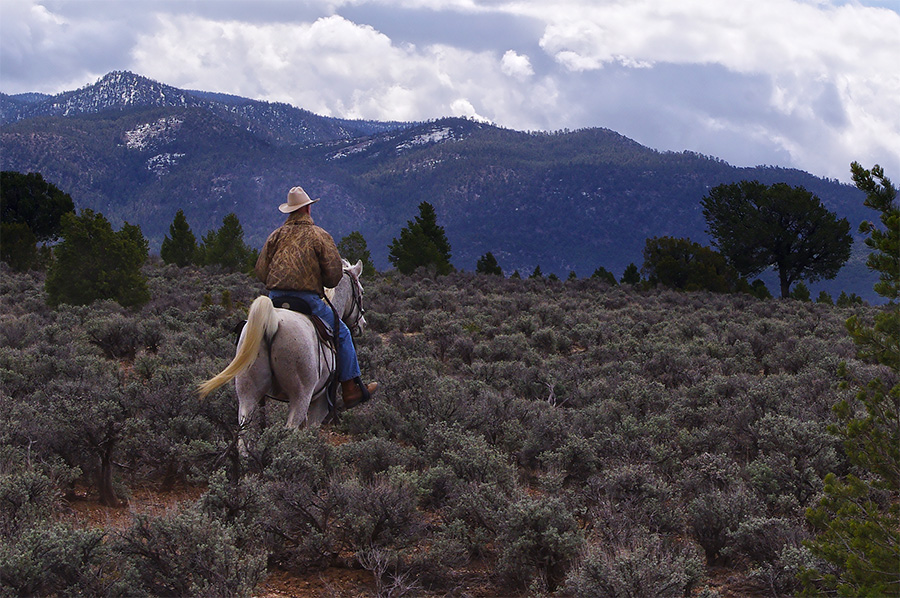 cowboy on horse at Taos Valley Overlook