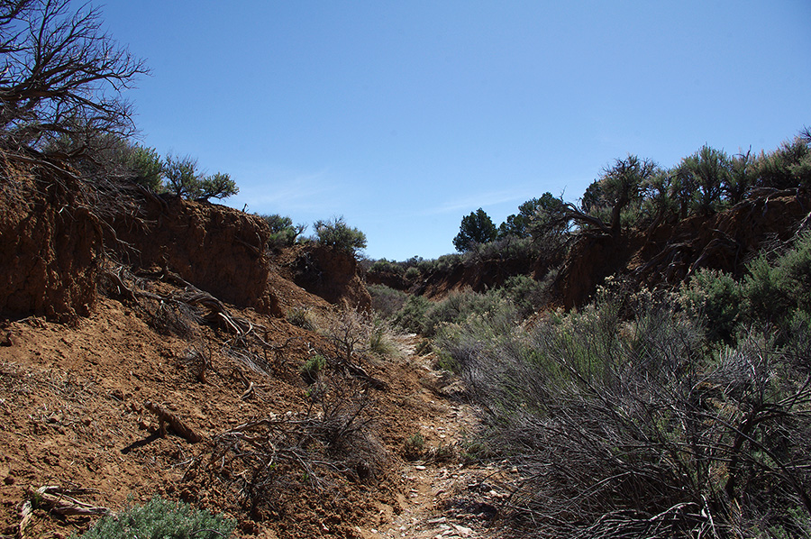 arroyo outside of Taos, NM