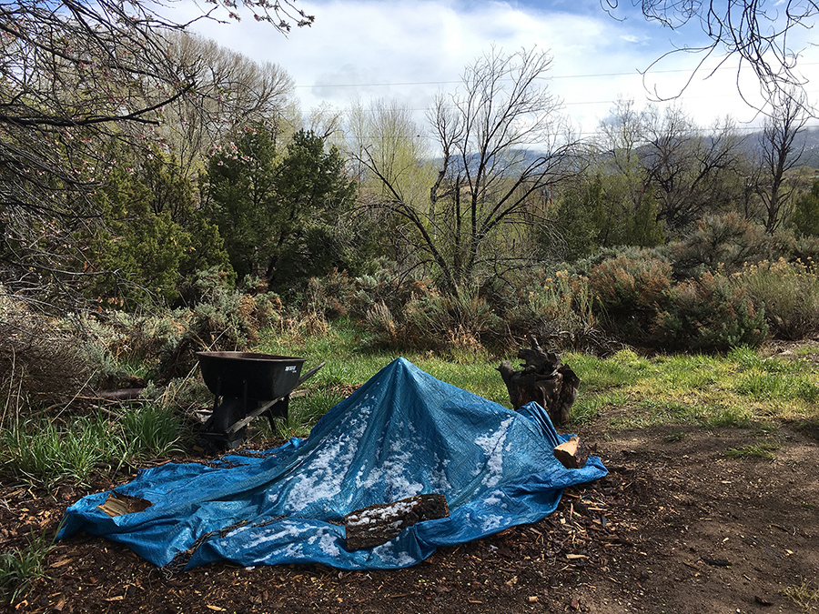 wood pile scene in Taos, New Mexico