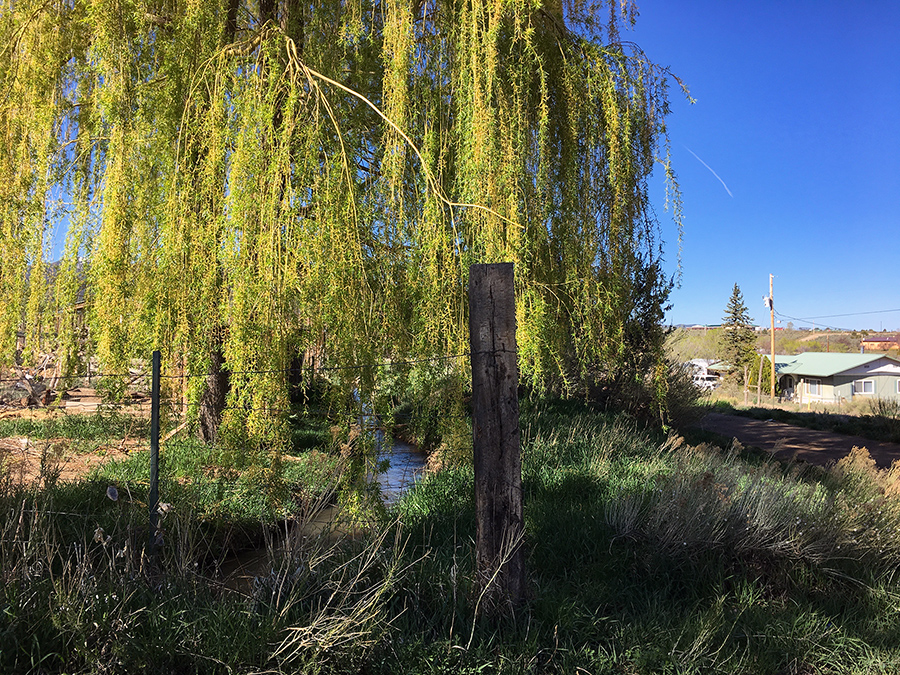 acequia