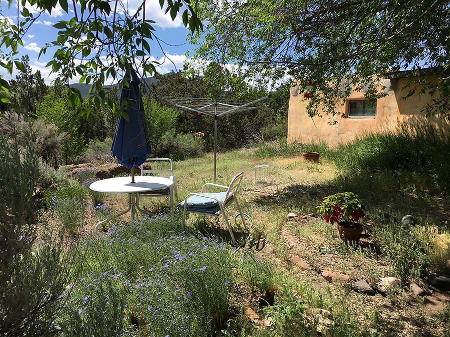 old Taos backyard