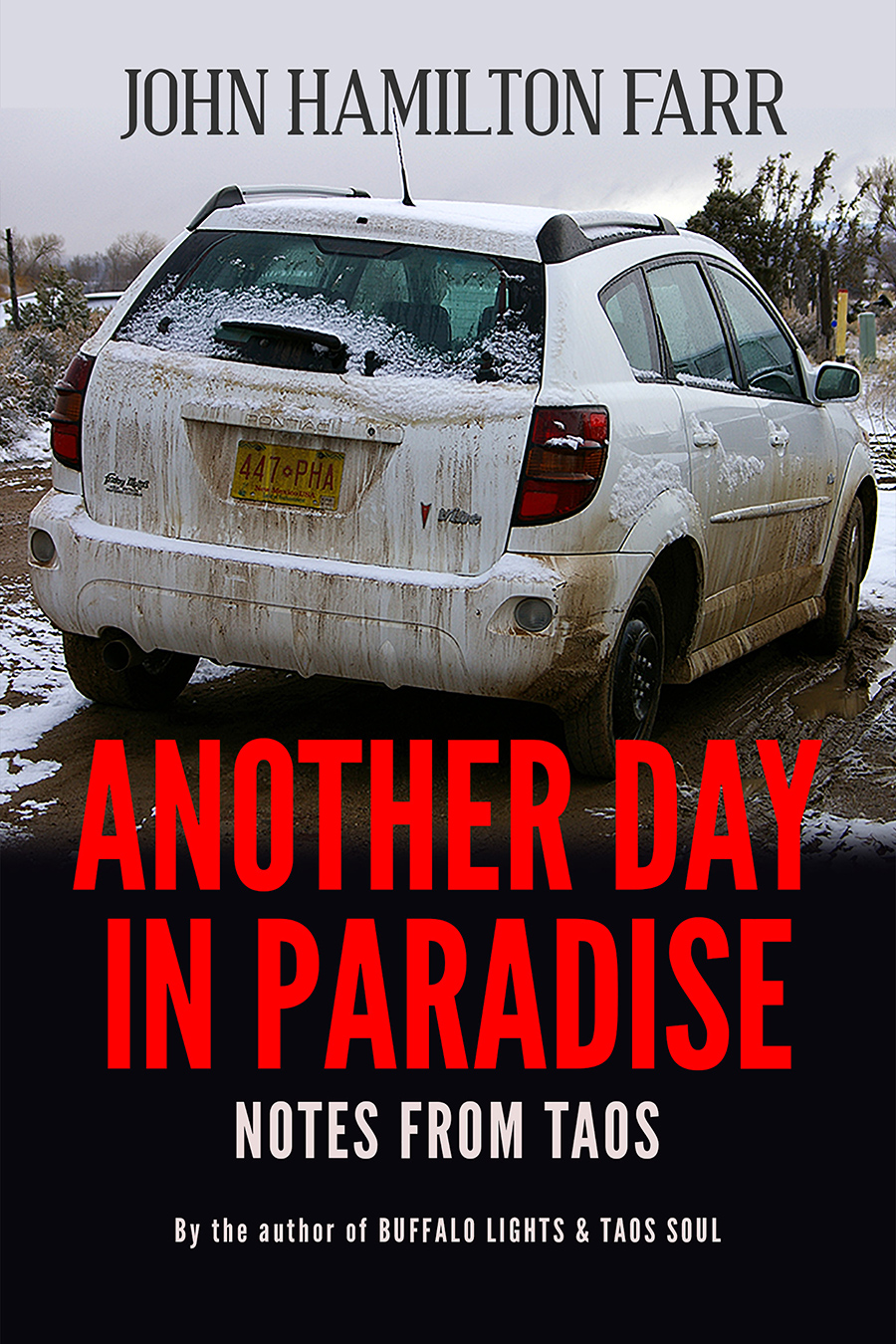 ANOTHER DAY IN PARADISE book cover