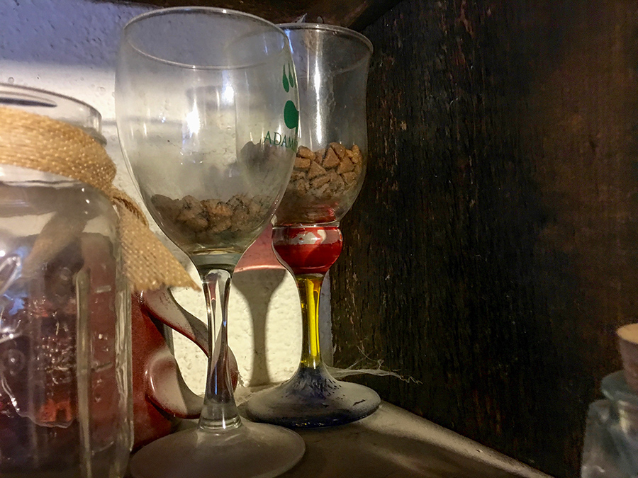 pack rat food caches in old wine glasses