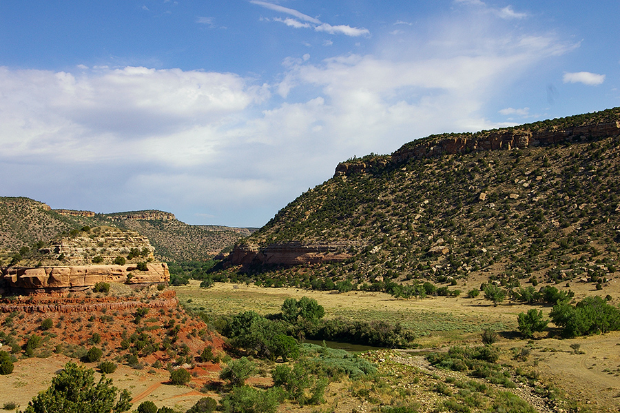 Mills Canyon, NM