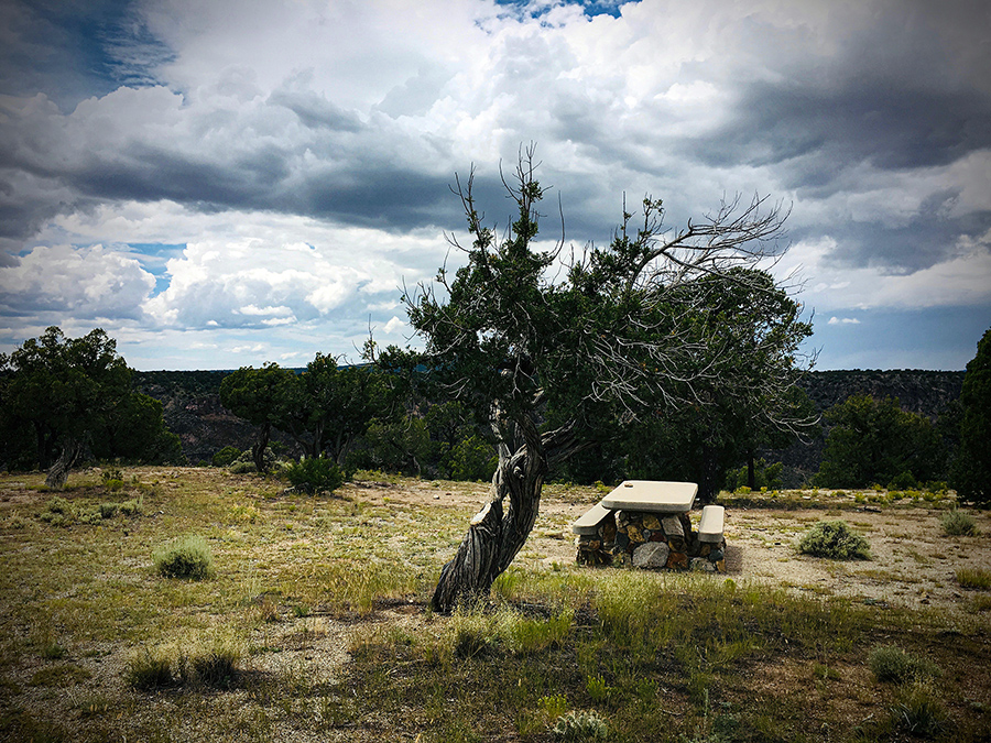 Picnic post image