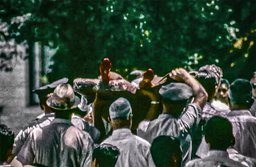 Charles Whitman’s Bloody Socks post image