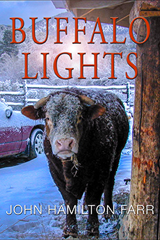 BUFFALO LIGHTS: Maryland to New Mexico